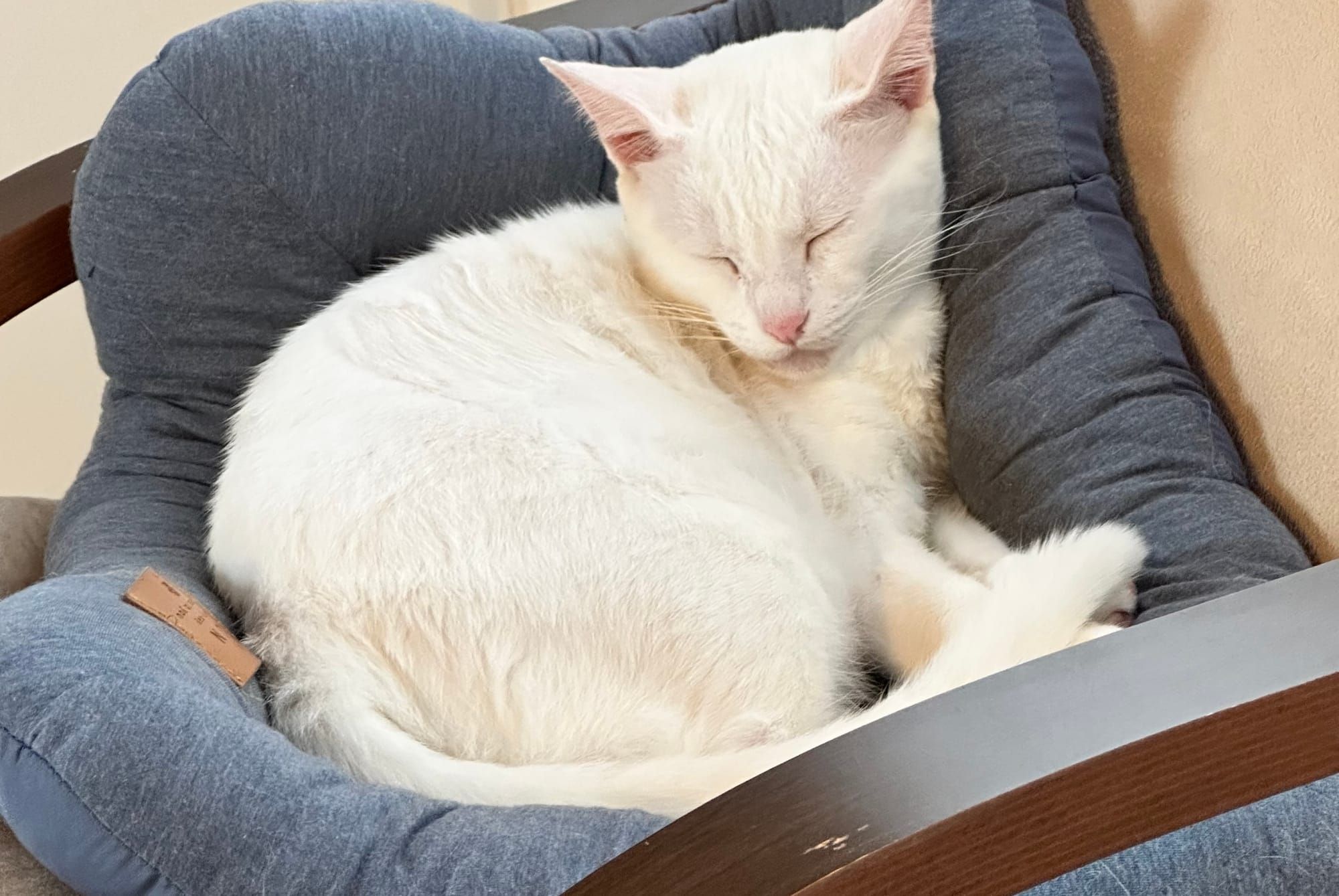 What I talk about when I talk about reading