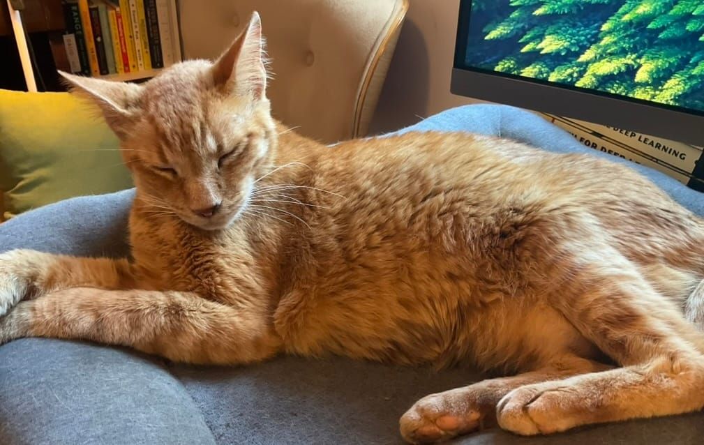 Thinking one move ahead