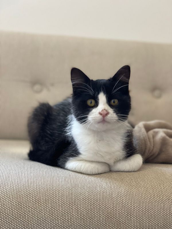 Being rich and powerful is a bad (modern) life goal