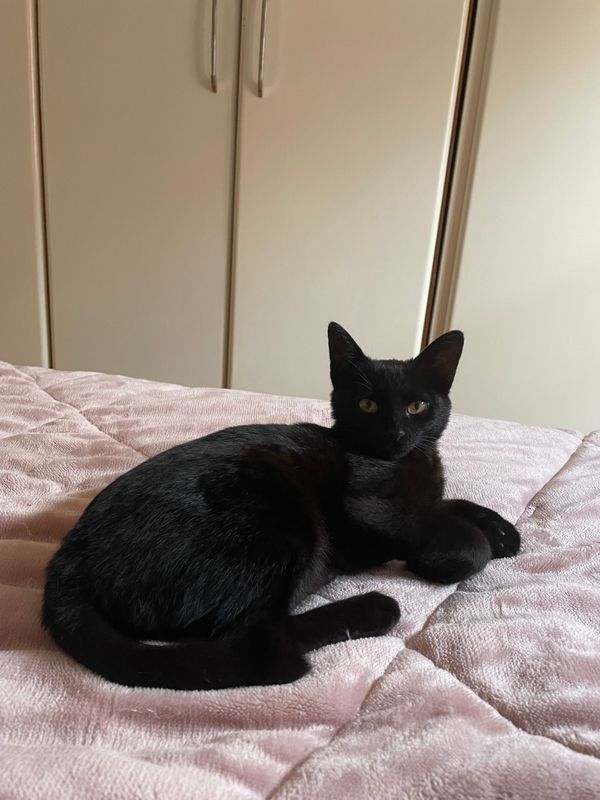 105 hours: Define work hours