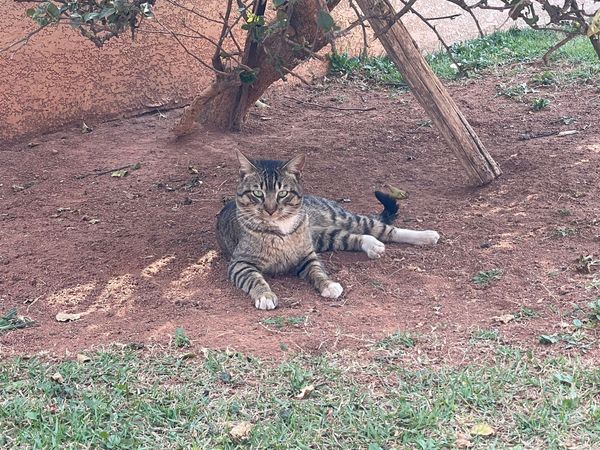 105 hours: 5 hours minimum for exercise