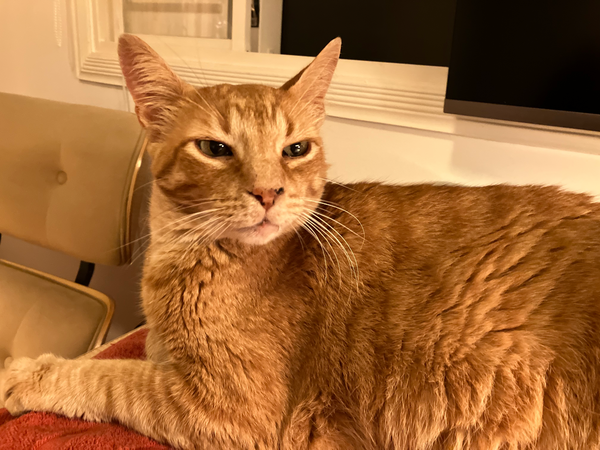 105 hours: Total work hours