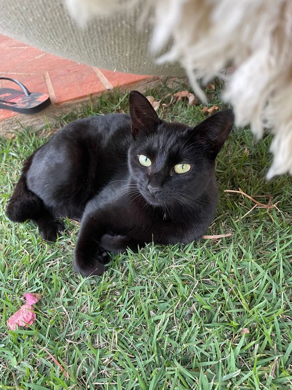 105 hours: Track time at work