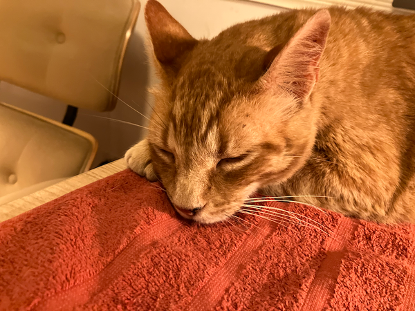 105 hours: Time Independence