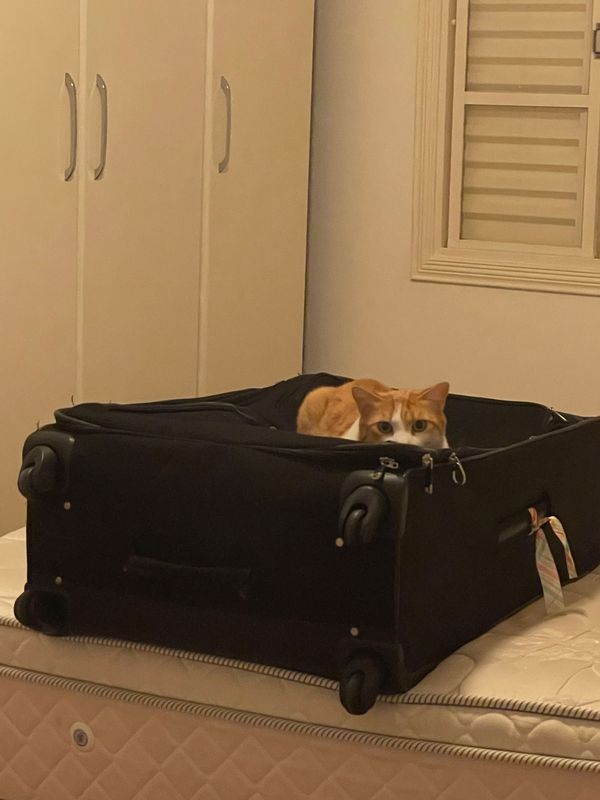 105 hours: Minimize chores