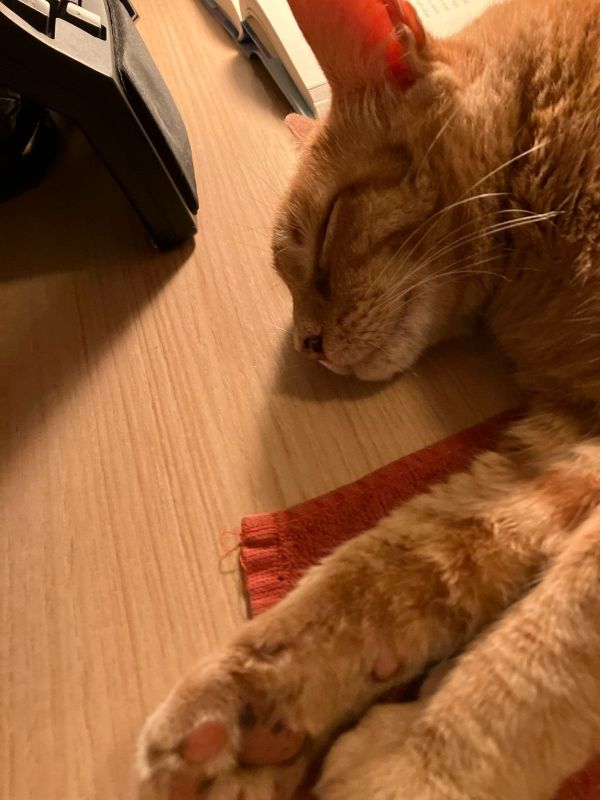 105 hours: No smartphone and emergencies