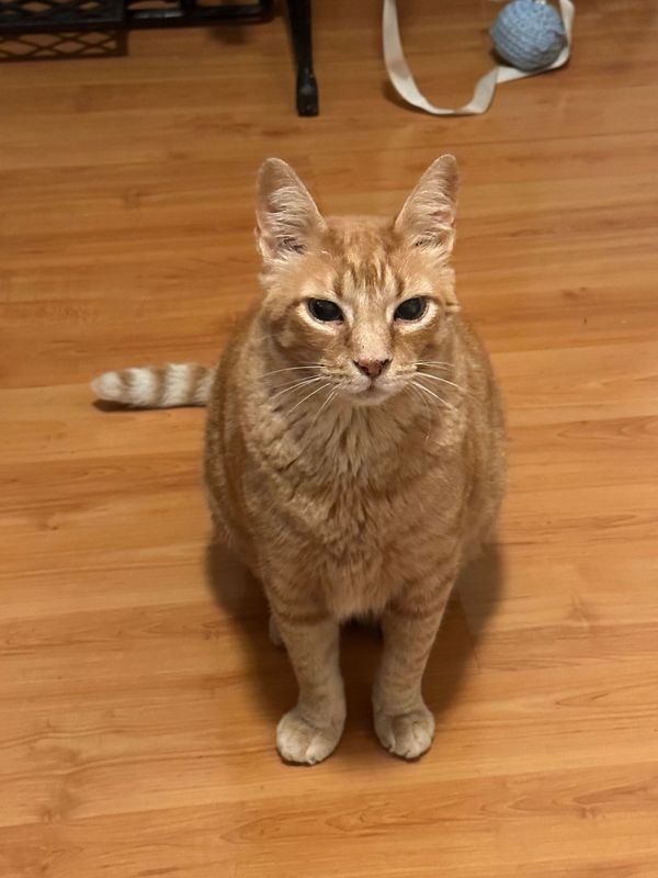 105 hours: No time for smartphones