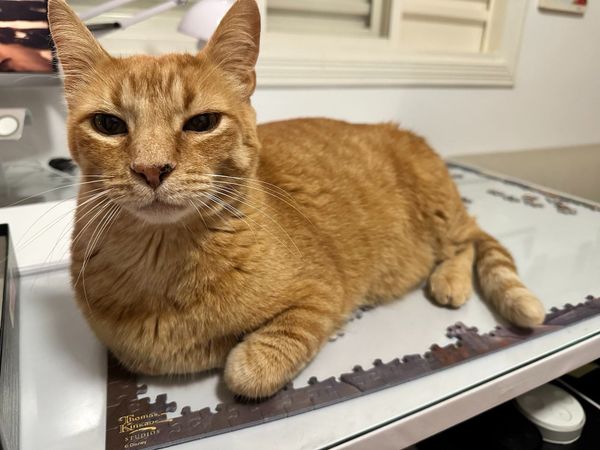 105 hours: Making time to be alone