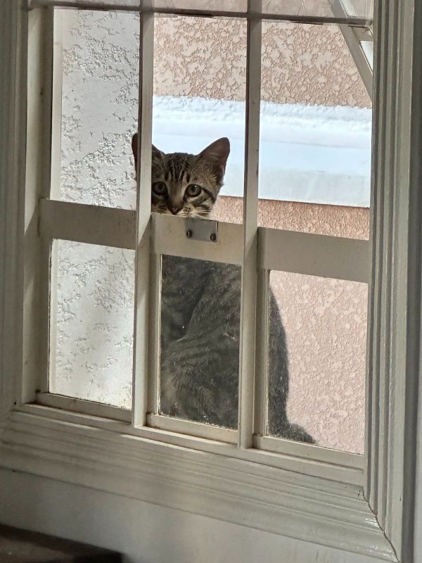 105 hours: No time for TV