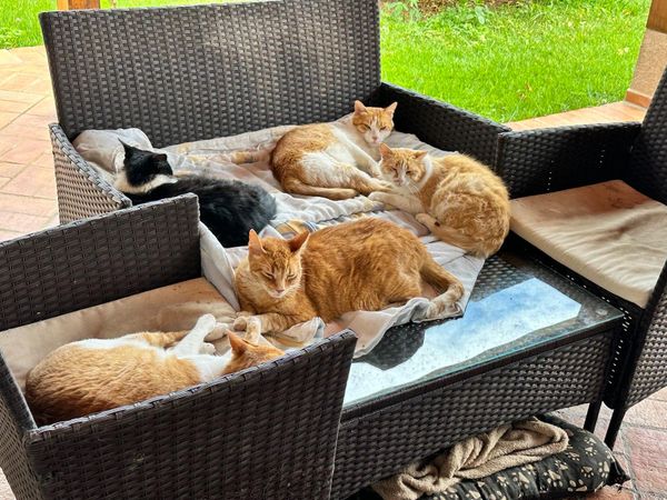 105 hours: One thing at a time