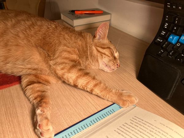 Restarting what we stopped (or getting back on the horse)