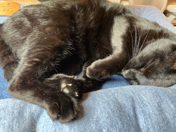 Make important things automatic