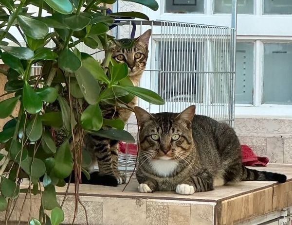 Have an activity to do right after work