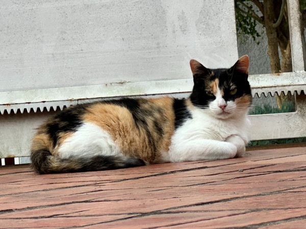 Going fast is different from rushing