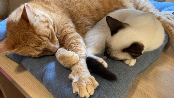 What if you only had 2 years to live?