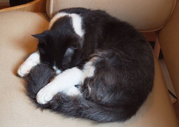 Avoid compromise and clarify goals