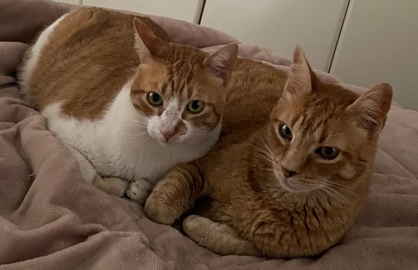 Are you optimizing for feelings or outcomes?