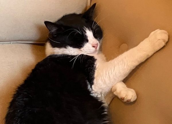 You can build an excellent team