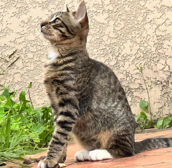 "You must not fool yourself" – How to pursue self-awareness