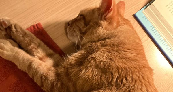 "How sure are you?" – Calibrating our confidence levels