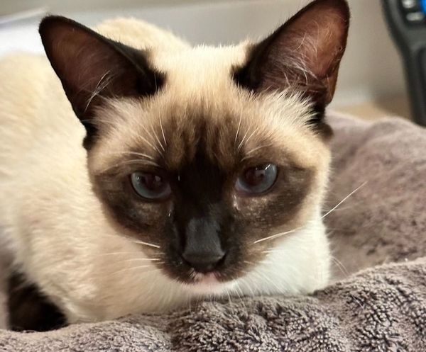 Focus on fewer goals by asking "What's going on?"