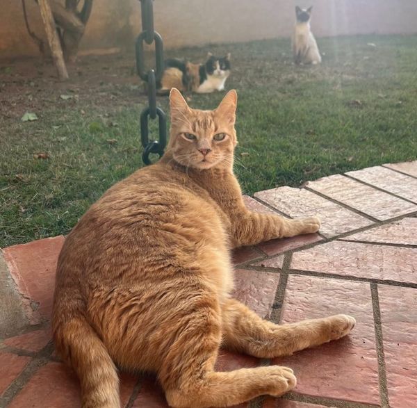 The first pillar of management: Priority