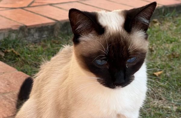 The third pillar of leadership: Motivation