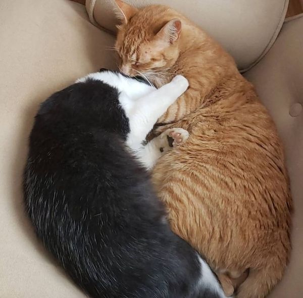 How to create a personal vision