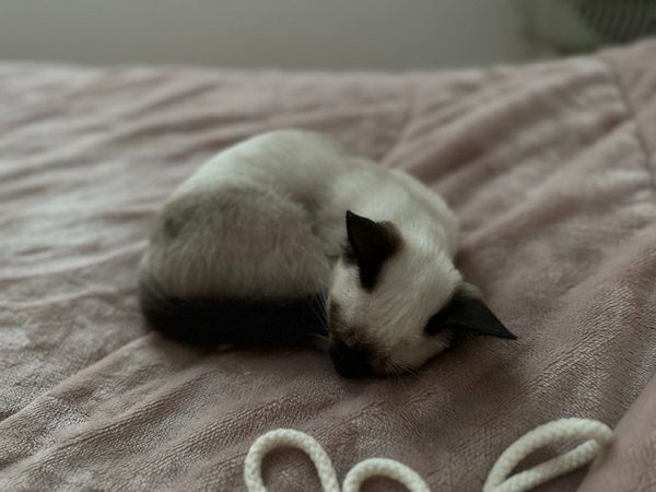 When we say "Find meaning in life," what do we mean exactly?