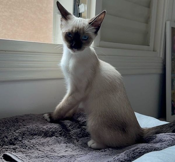 How to build a department