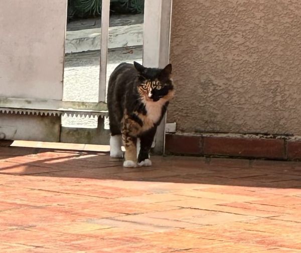 International Women Month Book Recommendations