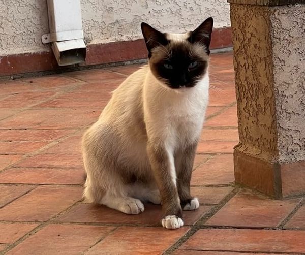 High expectations and high slopes of growth