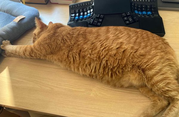 3 Steps for long term career planning