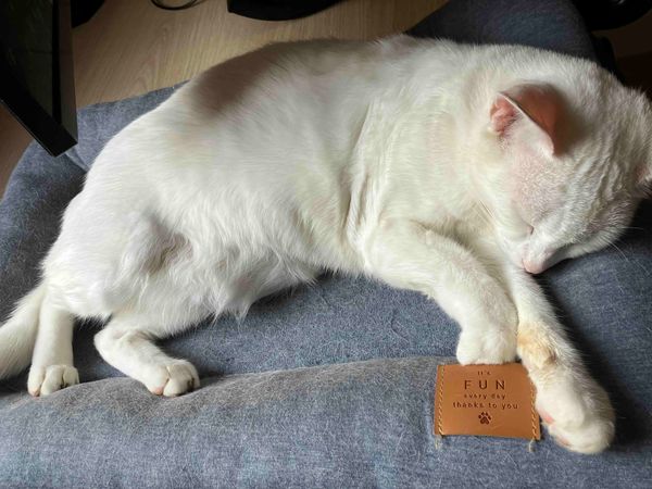 Using core values as constraints