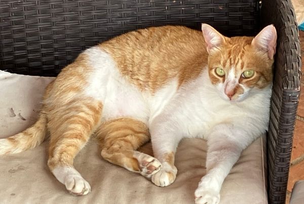 A fun, good, nice job