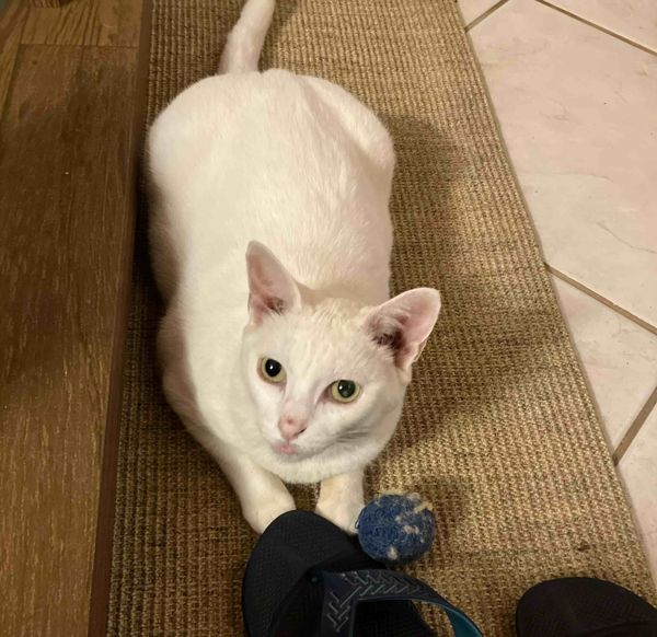 105 Hours – Build a Timetable