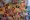 A spread of Pokémon trading cards laid out across a surface