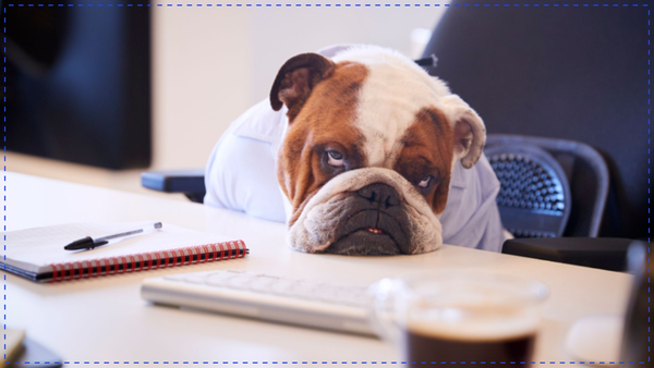 It Doesn't Matter What The Real Estate Market is Doing!