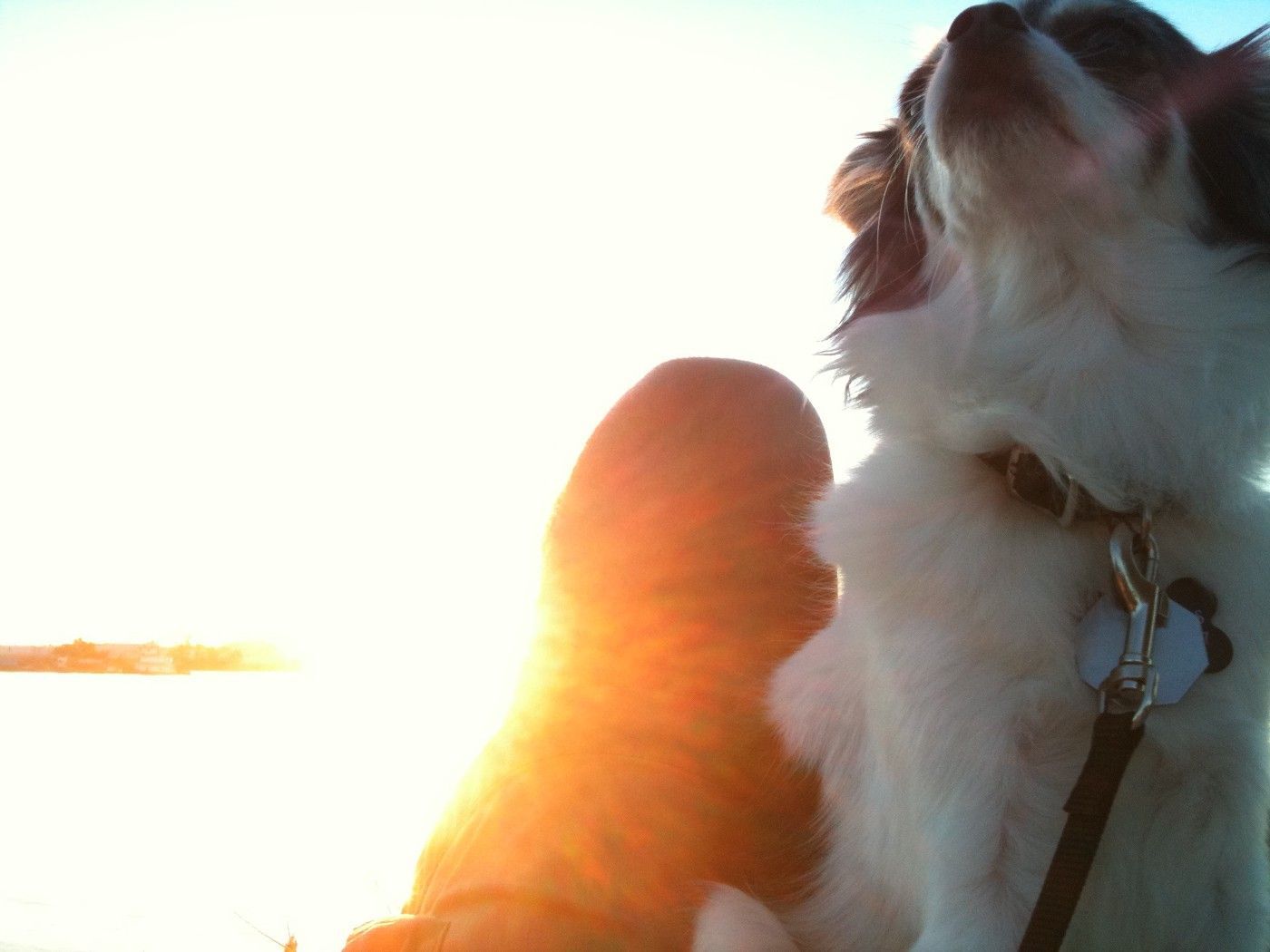 Love, Loss, and a Greater Society