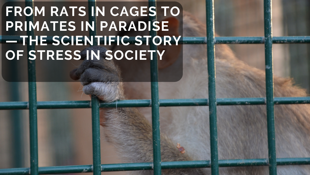 From Rats in Cages to Primates in Paradise — The Scientific Story of Stress in Society