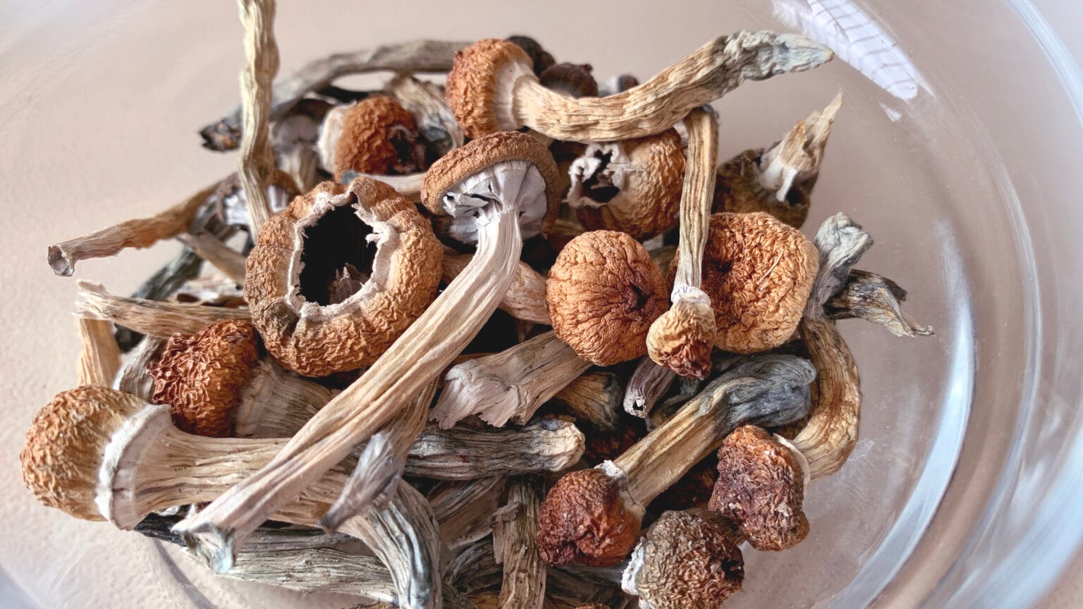 Close-up of dried mushrooms with brown caps and pale stems piled in a clear container on a light-colored surface.