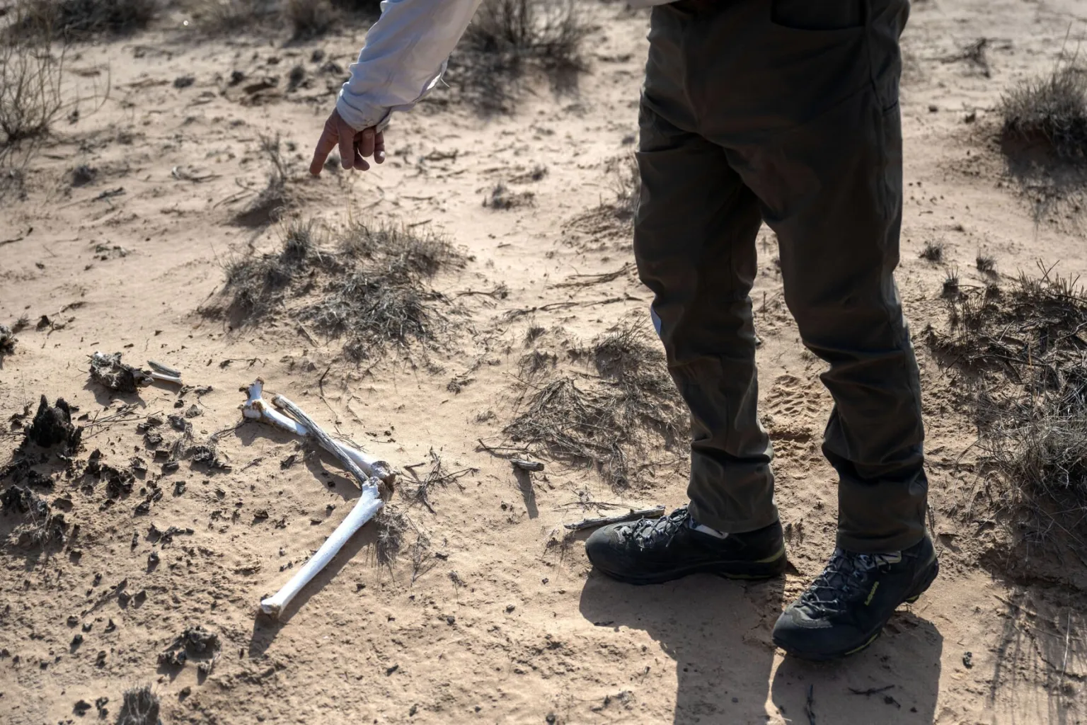 A person wearing outdoor boots points toward human bones lying exposed on sandy ground in a desert area with sparse vegetation.