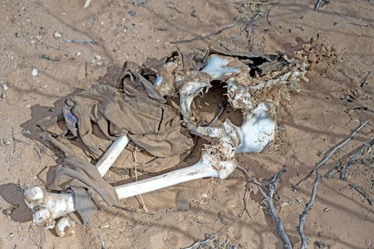 Human skeletal remains partially wrapped in tattered clothing lie exposed on the desert ground, surrounded by sand and sparse brush.