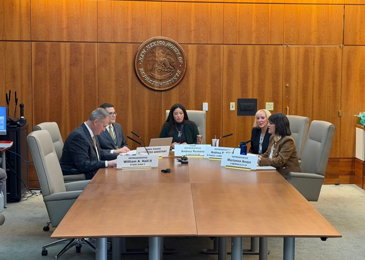 Members of New Mexico’s Jeffrey Epstein Truth Commission sit around a conference table during a meeting at the Roundhouse in Santa Fe.