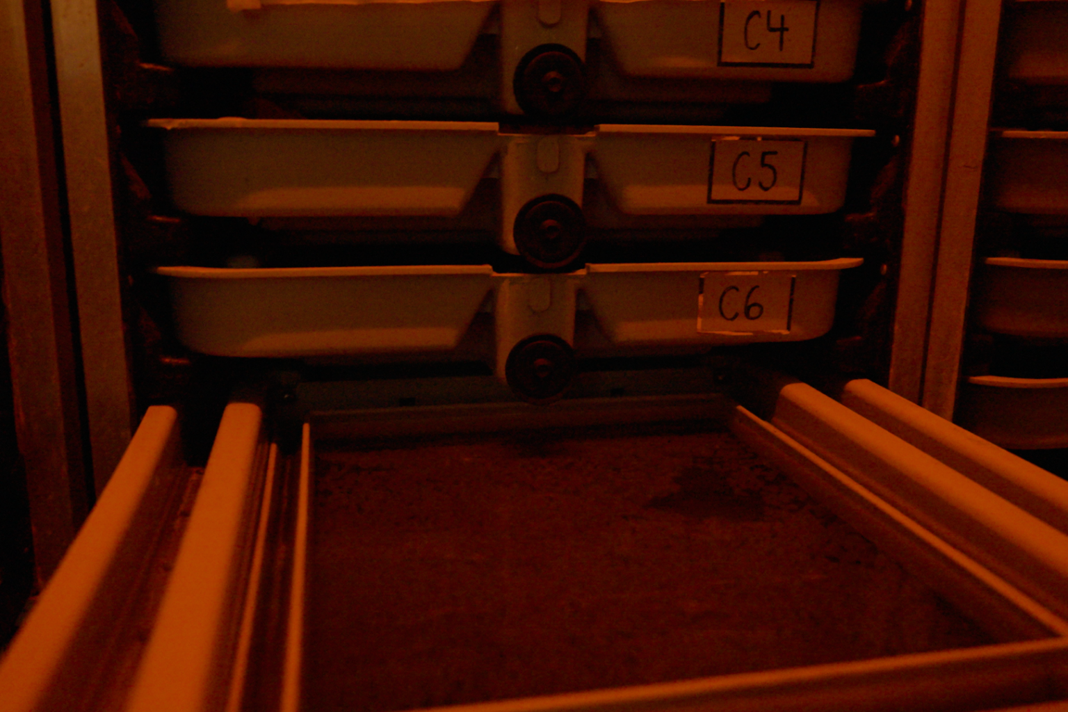 Trays of fish eggs incubate inside a hatchery system under low red lighting, with labeled racks visible.