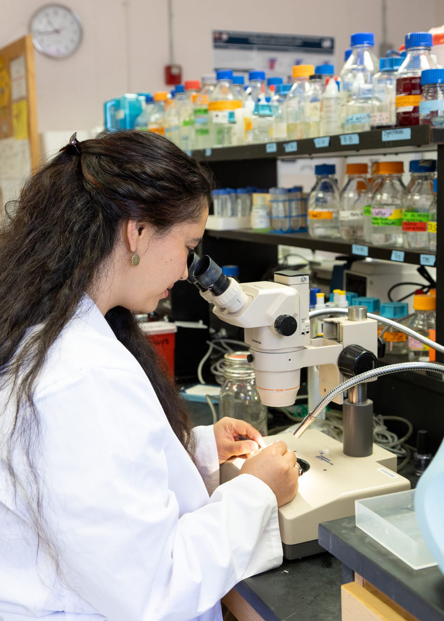 NMSU biology Ph.D. student Anjali Karki uses a microscope inside a mosquito research laboratory.