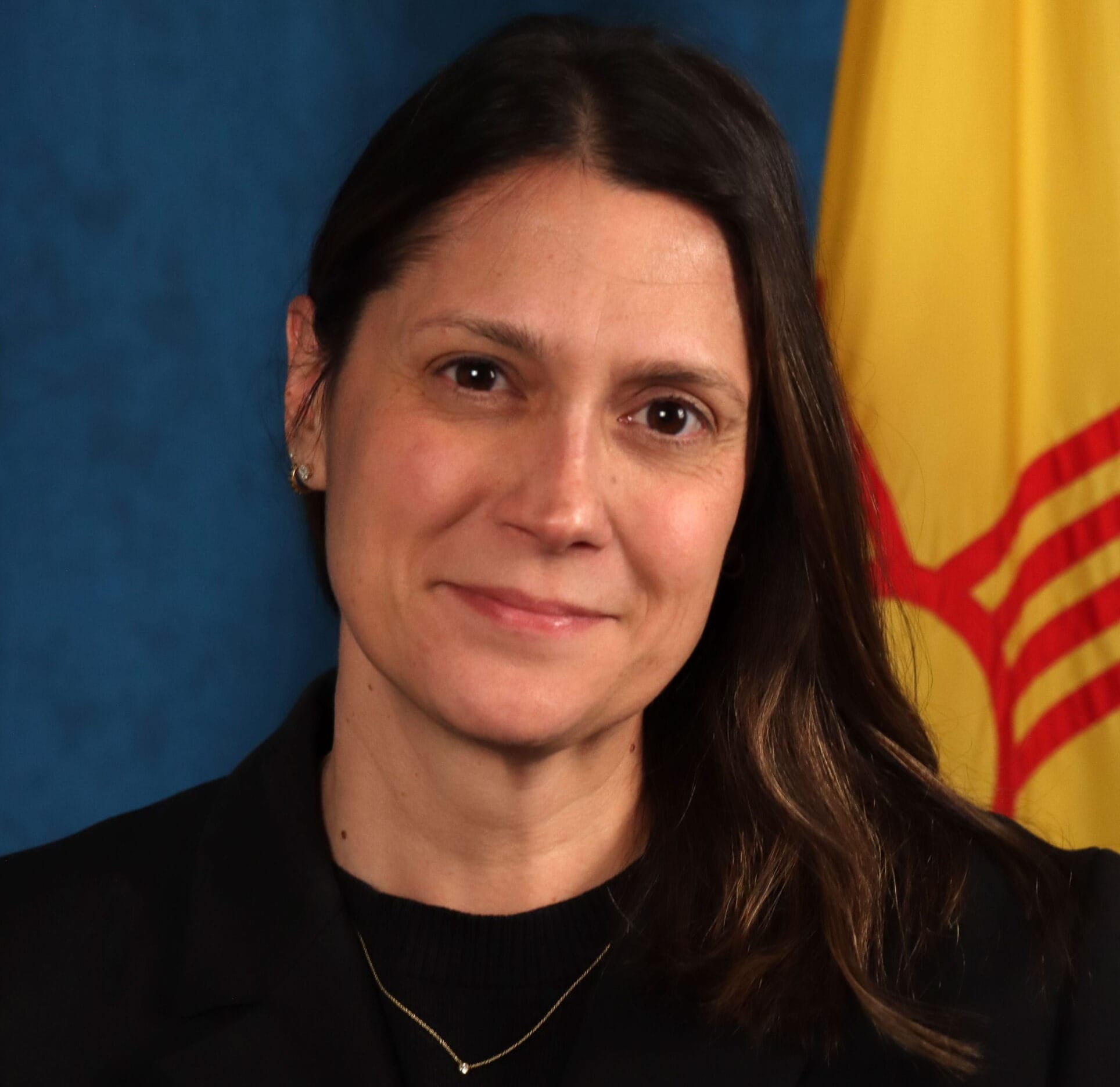 Portrait of New Mexico Energy, Minerals and Natural Resources Department acting Secretary Erin Taylor in front of the state flag.