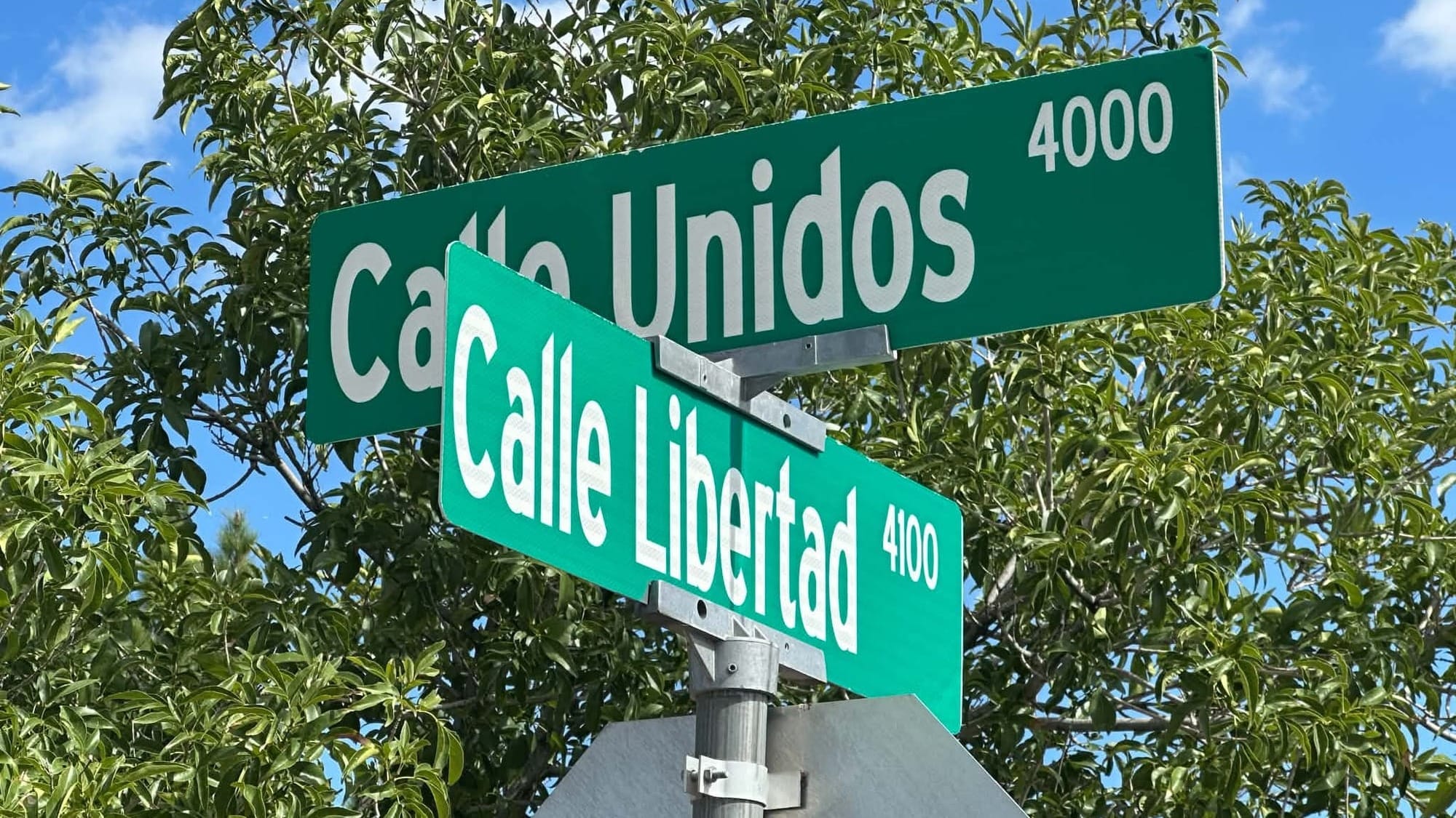 Las Cruces police investigate murder-suicide; five children were inside home