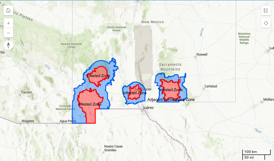 Map of southern New Mexico showing New World screwworm infested zones in red and adjacent surveillance zones in blue, including an area around Las Cruces.