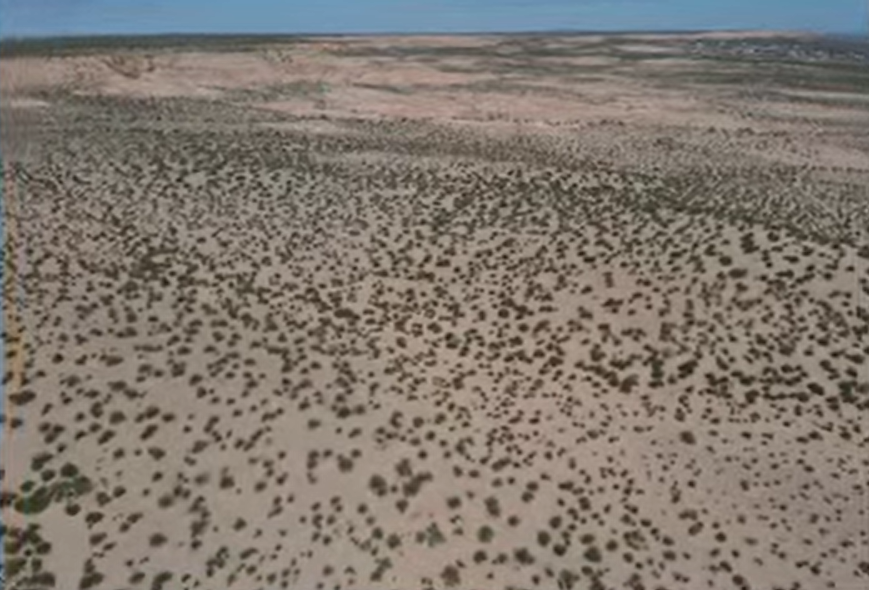 An aerial view shows a broad expanse of undeveloped desert terrain dotted with low shrubs, stretching toward the horizon beneath a clear blue sky.